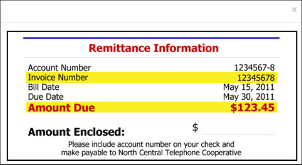 Screenshot showing the Remittance Information page on the NCTC online billing portal
